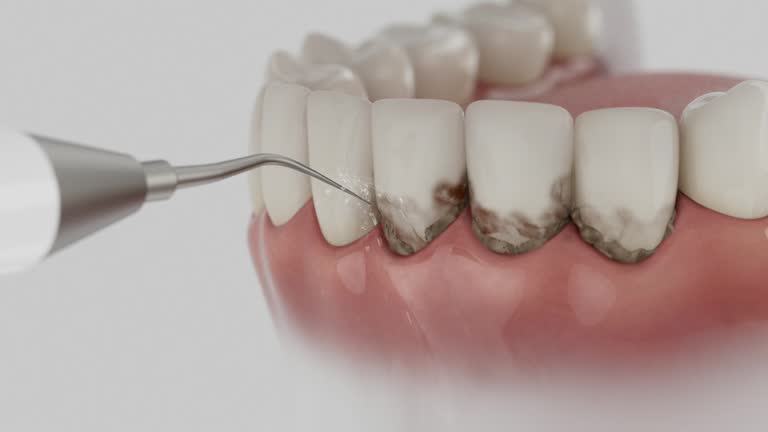 Trusted Emergency Dentist service in Beaufort, SC - Dentist Open Now